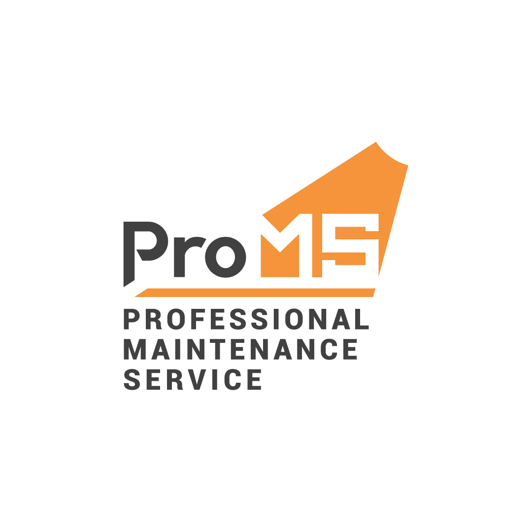 PRO MS Professional Maintenance Service
